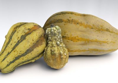 CG Object Pack 01 – Gourds