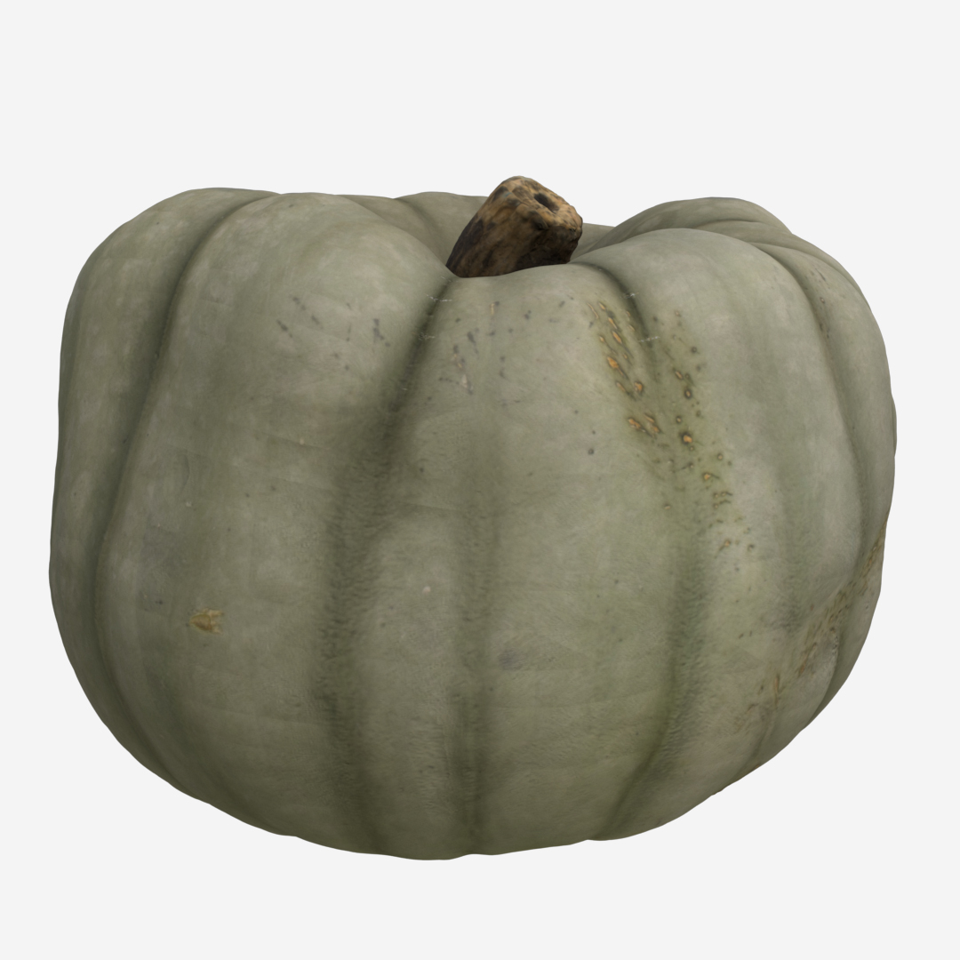 Pumpkin A