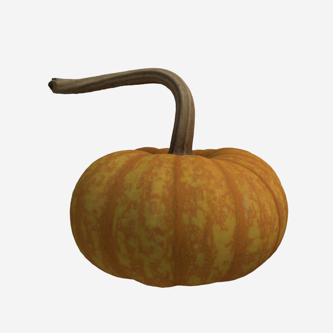 Pumpkin C