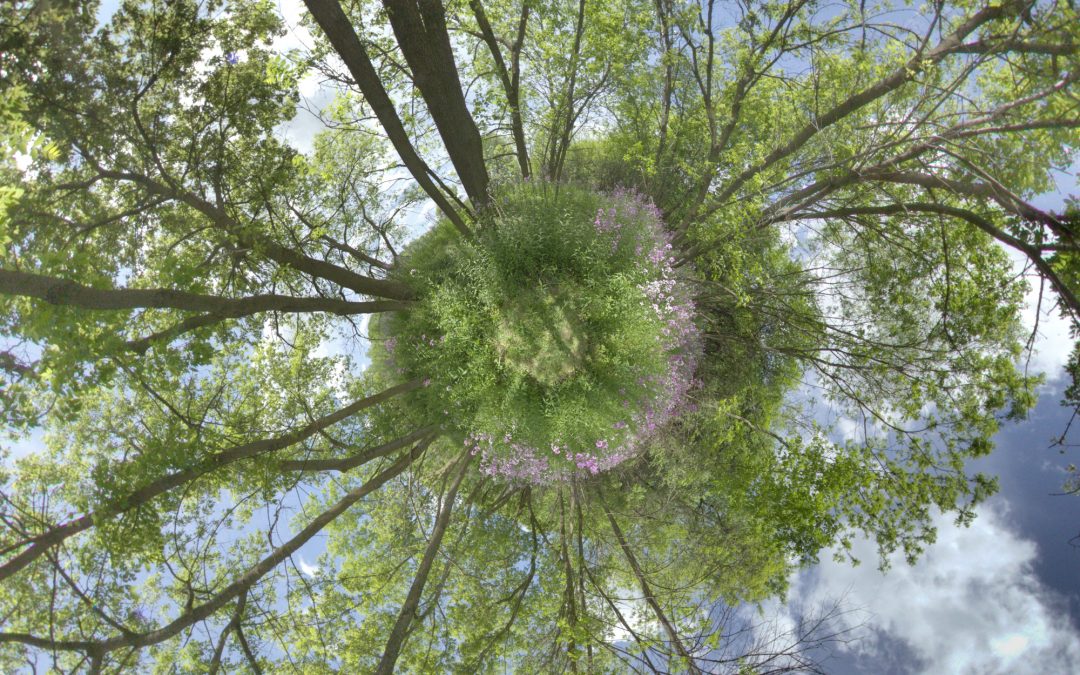 HDRI Single – 008