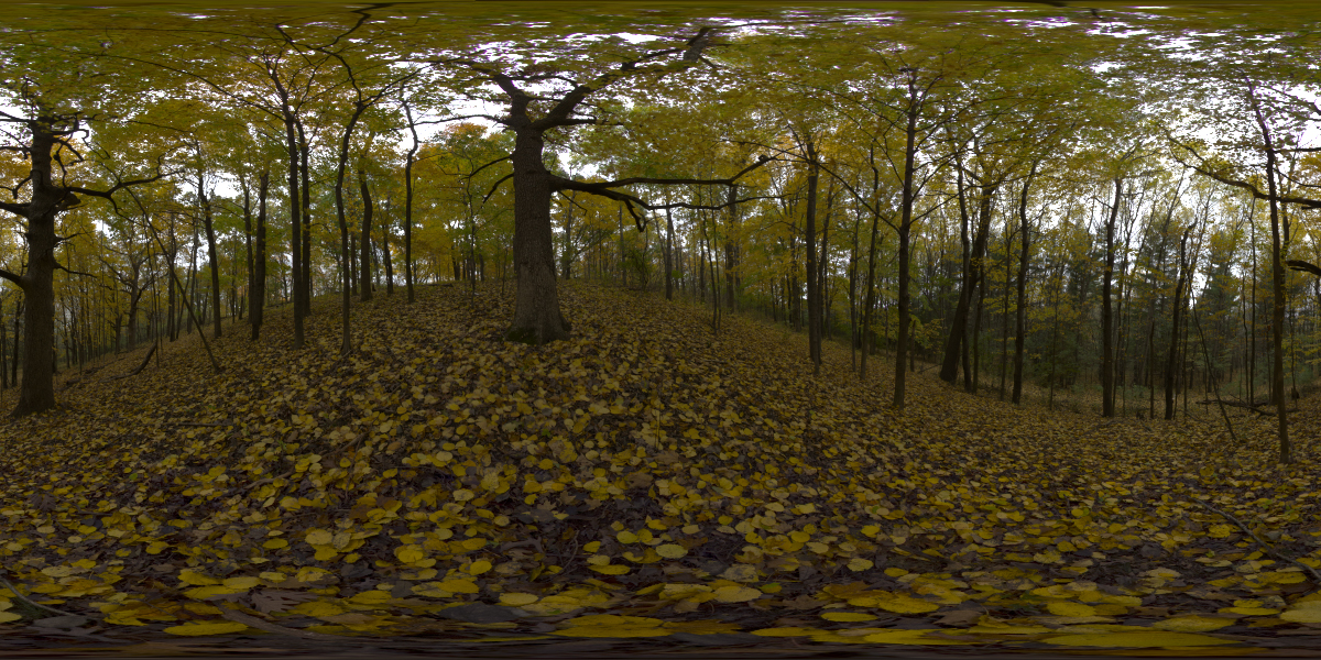 Pano 29 Preview