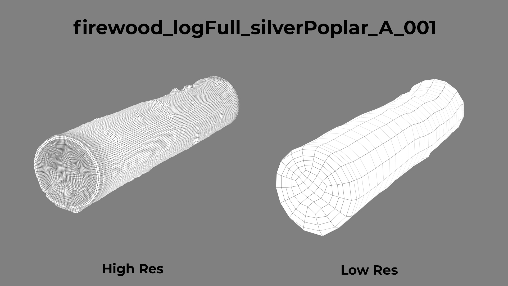 Silver Poplar A wireframe