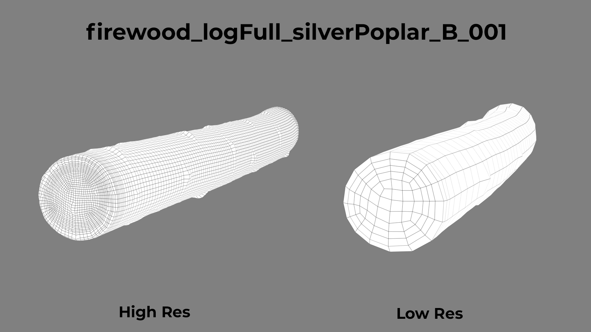 Silver Poplar B wireframe