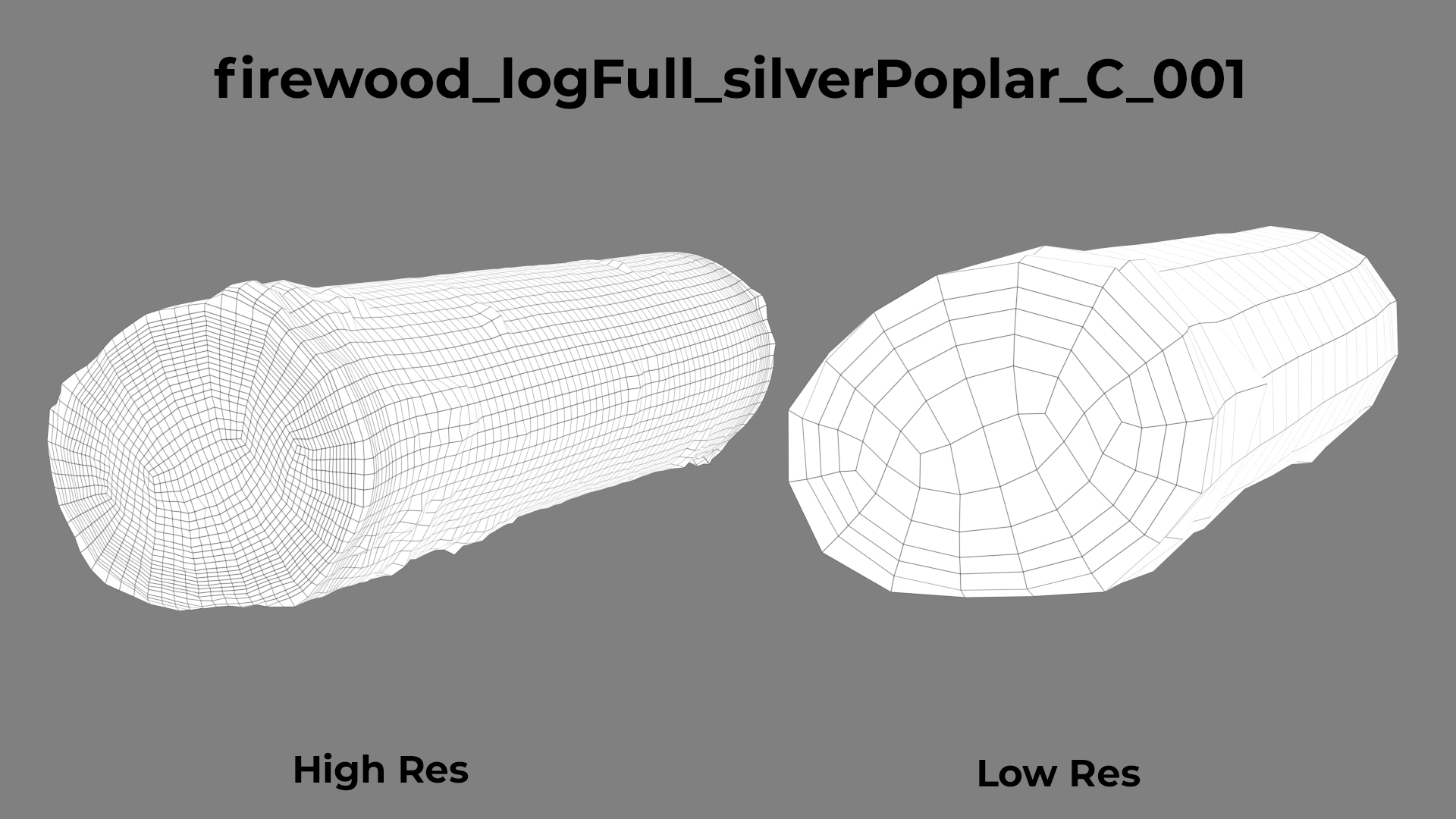 Silver Poplar C wireframe